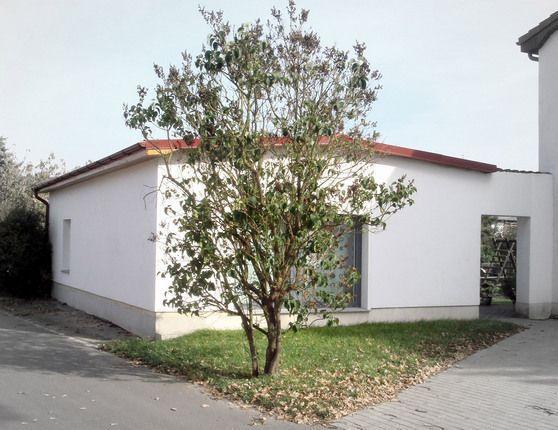 Ferienhaus-Poweleit Boergerende-Rethwisch Exterior photo